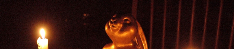 Picture of our Budda Bunny shot by Michael North